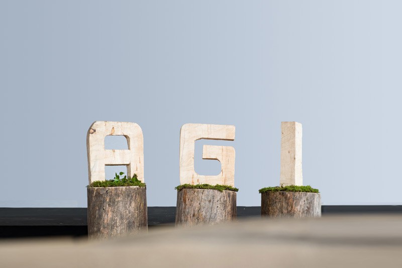 Logo AGI en bois